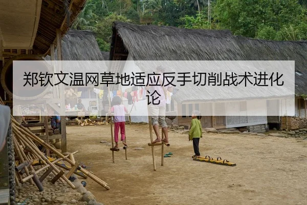 郑钦文温网草地适应反手切削战术进化论