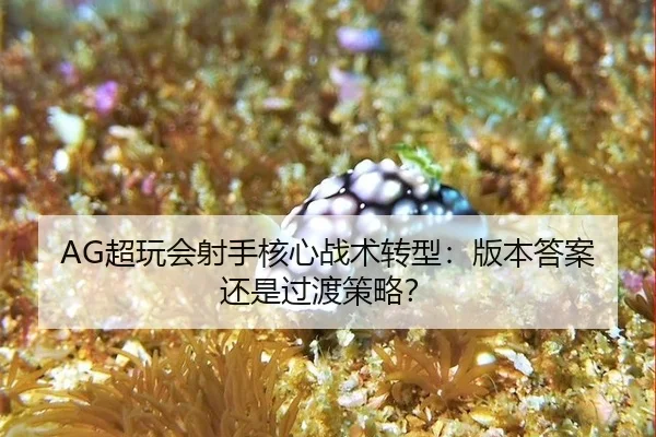chao-wan-hui-she-shou-he-xin-zhan-shu-zhuan-xing-ban-ben-da-an-hai-shi-guo-du-ce-lve-2-212.jpg
